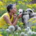 Dying breed: Tunisian dog lovers push to save age-old desert hound