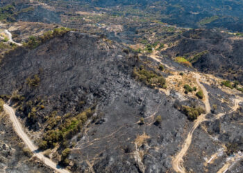 Forest fire threatens homes in Turkey’s Izmir province