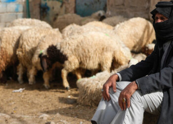 30 وفاة بالحمى النزفية في العراق منذ مطلع العام