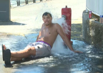 France expecting peak temperatures as heatwave hits Europe