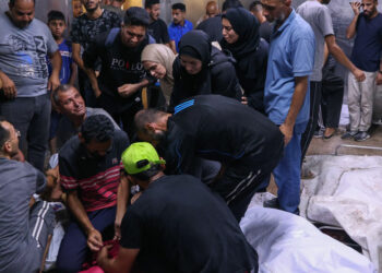 Gaza rescuers say Israeli forces kill over 50 as ceasefire calls mount