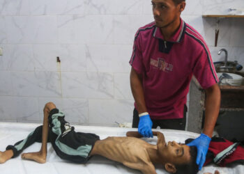 Israel denies Gaza 'mass starvation' accusations