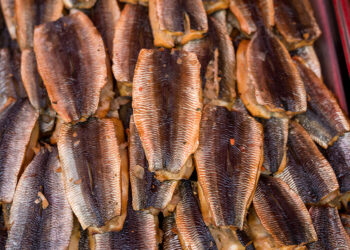 Life after cod: Latvia reinvents its coastal communities
