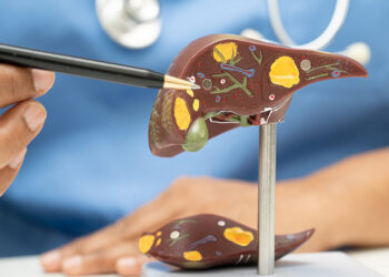 Liver cancer to double worldwide, most of it preventable: study