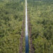 'Lungs of the Earth': the Indonesians fighting for peatland