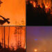 Portugal battles to contain wildfires in Arouca