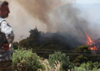 Syria seeks European help as forest wildfires rage