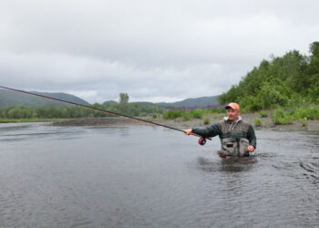 The long slow death of Norway's wild salmon