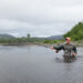 The long slow death of Norway's wild salmon