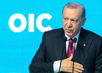 Turkey's Erdogan insists on Cyprus two-state solution