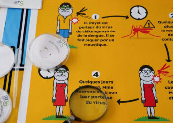 WHO sounds alarm on risk of chikungunya epidemic