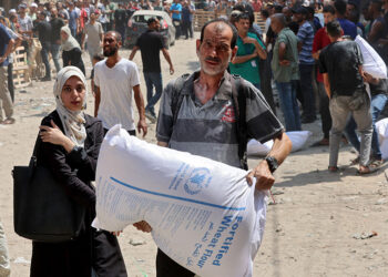 Aid to famine-struck Gaza still 'drop in the ocean': WFP