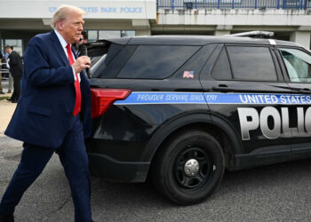 Chicago, NY next cities to be targeted in crime crackdown