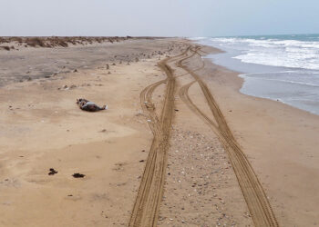 Death toll in Yemen migrant shipwreck tops 90