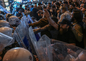 Dozens of opposition arrested in Turkey: media reports