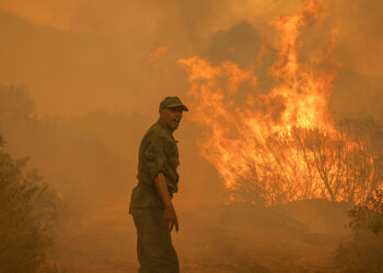 Forest fire sweeps through northern Morocco