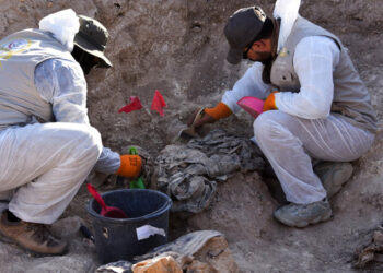 Iraq starts work on IS mass grave thought to contain thousands