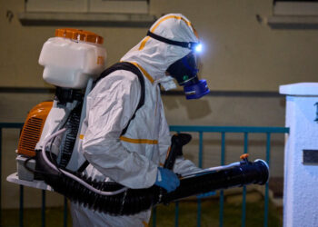 Record number of mosquito-borne disease outbreaks in Europe: health agency