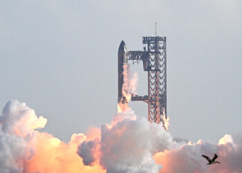 SpaceX answers critics with successful Starship test flight