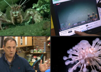 بث مباشر لروبوت في قاع المحيط الأطلسي يثير حماسة الأرجنتينيين