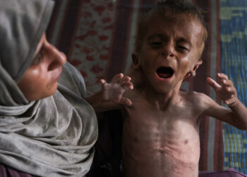 WHO wants more aid in Gaza before Israeli occupation