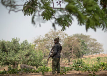 Gunmen kill 12 forest guards in central Nigeria