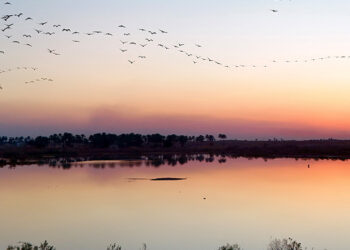Iraq Weather: Clear Skies and Stable Temperatures in the Coming Days