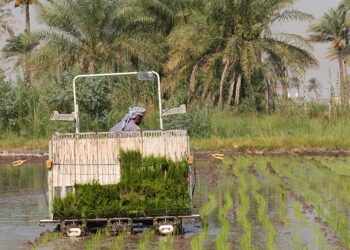 Iraq signs $1bn investment deals with World Bank's IFC