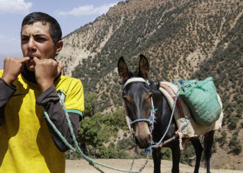 Morocco High Atlas whistle language strives for survival