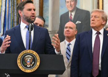 Trump says skipping G20 in South Africa, sending VP Vance instead