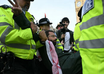 UK police arrest more than 425 at Palestine Action demo