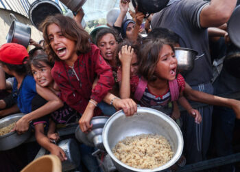 WHO chief urges Israel to stop Gaza starvation 'catastrophe'