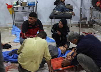 Infectious diseases 'spiralling out of control' in Gaza: WHO