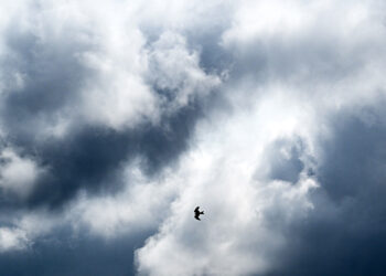 Meteorology: Mild Weather Expected Next Week, Rainy Autumn Ahead