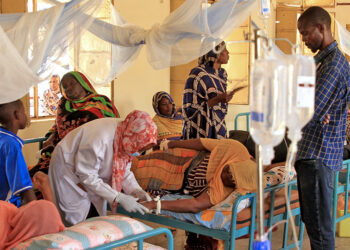 Sudan civilians under siege resort to cowhide for food