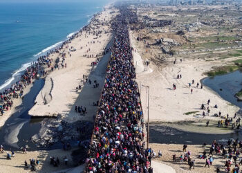 Thousands of Gazans begin heading north as ceasefire announced: AFP