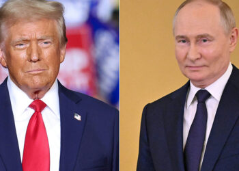Trump says to meet Putin after 'great progress' in call