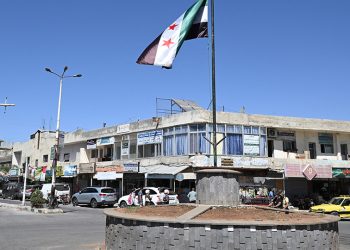 China FM pledges support for Syria in 'achieving peace'