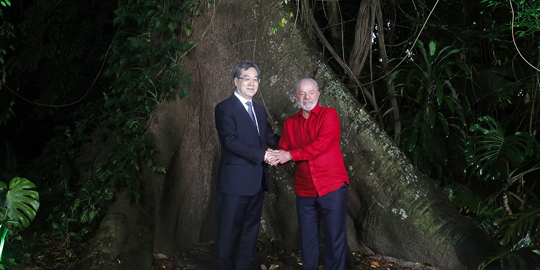 'Remove trade barriers' on green tech, China says at climate summit