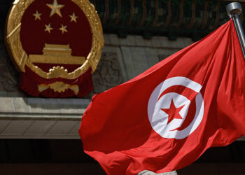 Tunisia court jails prominent lawyer for five years: defence