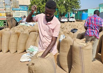 UN food agencies warn of 16 hunger hotspots