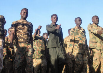 35 paramilitary drone strikes target cities in eastern Sudan: army source