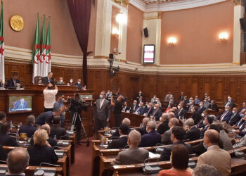 Algeria passes law declaring French colonisation a crime