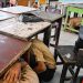 Indonesia residents rush outside as 6.6M quake hits