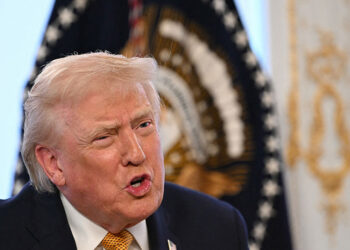 Trump says jihadist camps targeted in Nigeria strikes were 'decimated': Politico