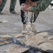 Syria and Iraq Seize 2.5 Million Captagon Pills in Joint Operation