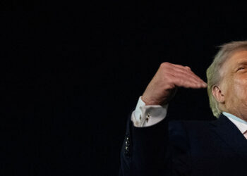 Trump Asserts Europe Will Not Strongly Oppose His Greenland Purchase Bid