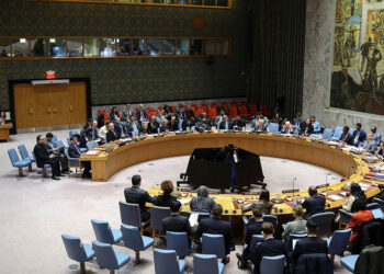 UN Security Council Votes to Terminate Mission in Hodeida Amid Houthi Obstructions