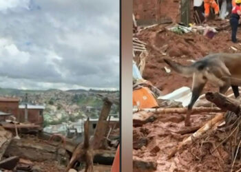 Brazil torrential rains
