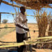 Sudan hospital attack 64 killed WHO - هجوم مستشفى السودان 64 قتيل منظمة الصحة العالمية